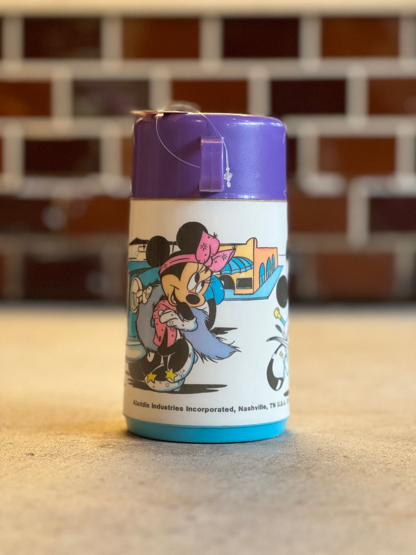 1990's ALADDIN VINTAGE THERMO MICKEY & MINNIE