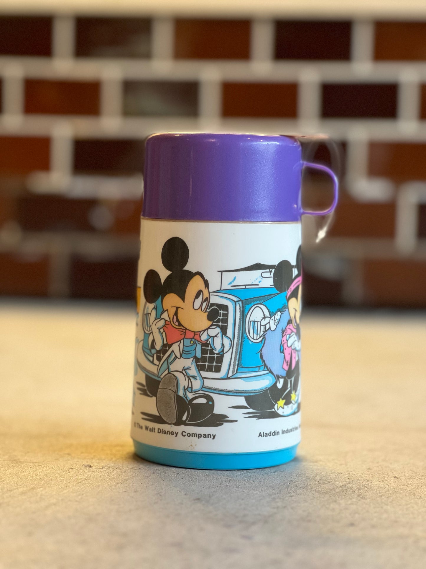 1990's ALADDIN VINTAGE THERMO MICKEY & MINNIE