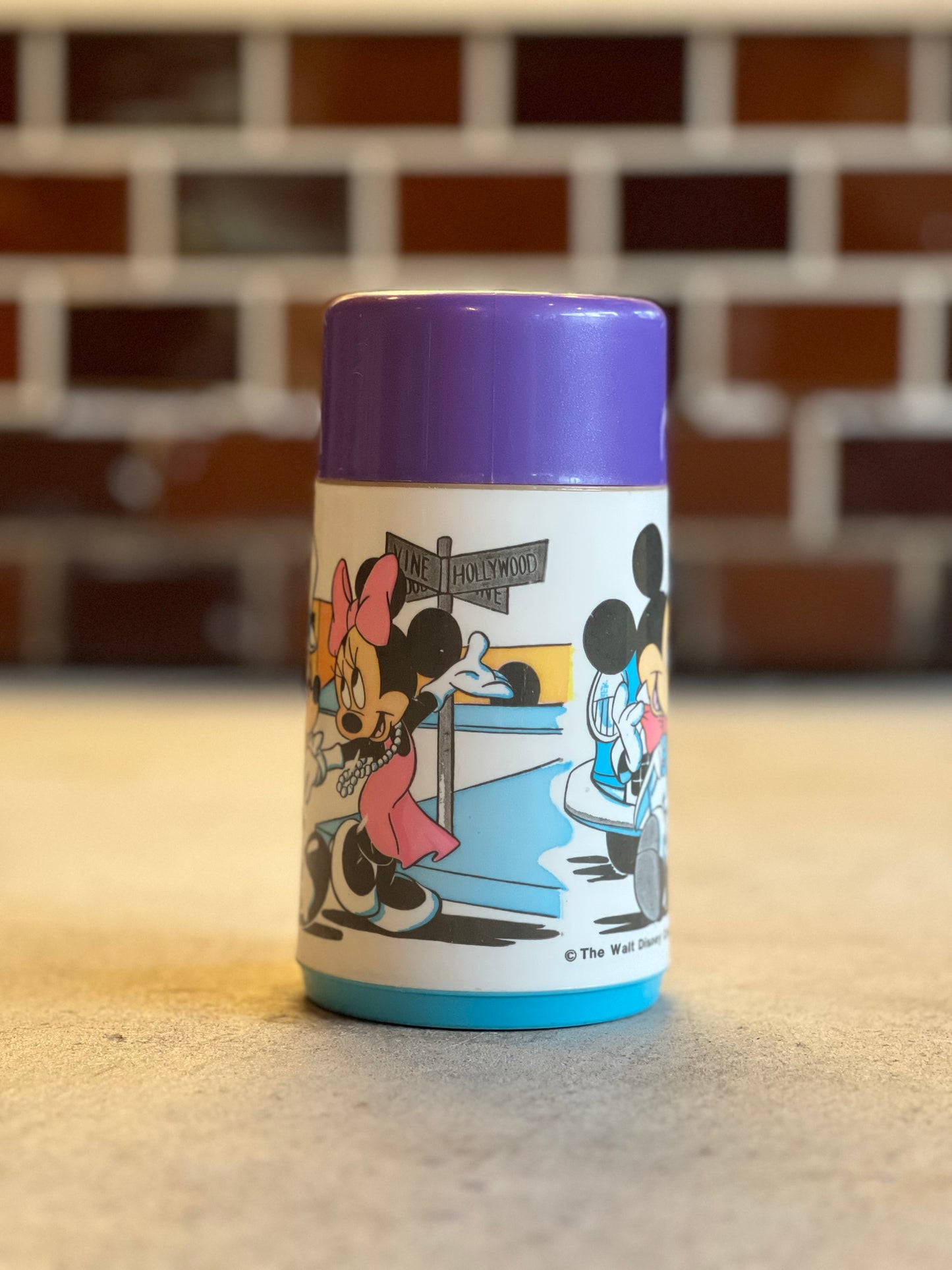 1990's ALADDIN VINTAGE THERMO MICKEY & MINNIE